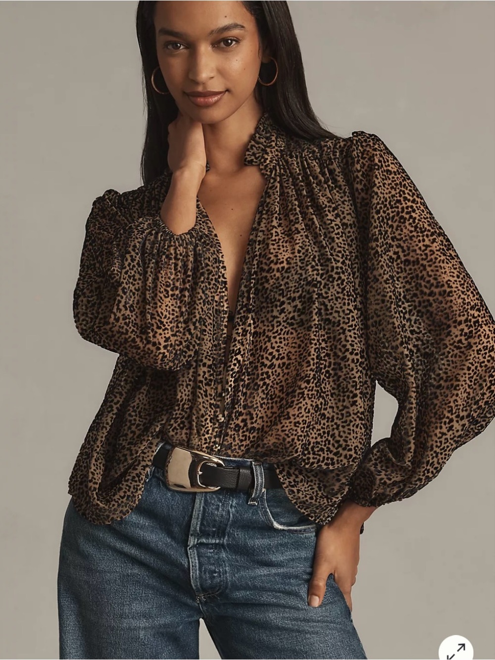 Anthropologie The Estela Sheer Printed Blouse: Burnout Edition S
